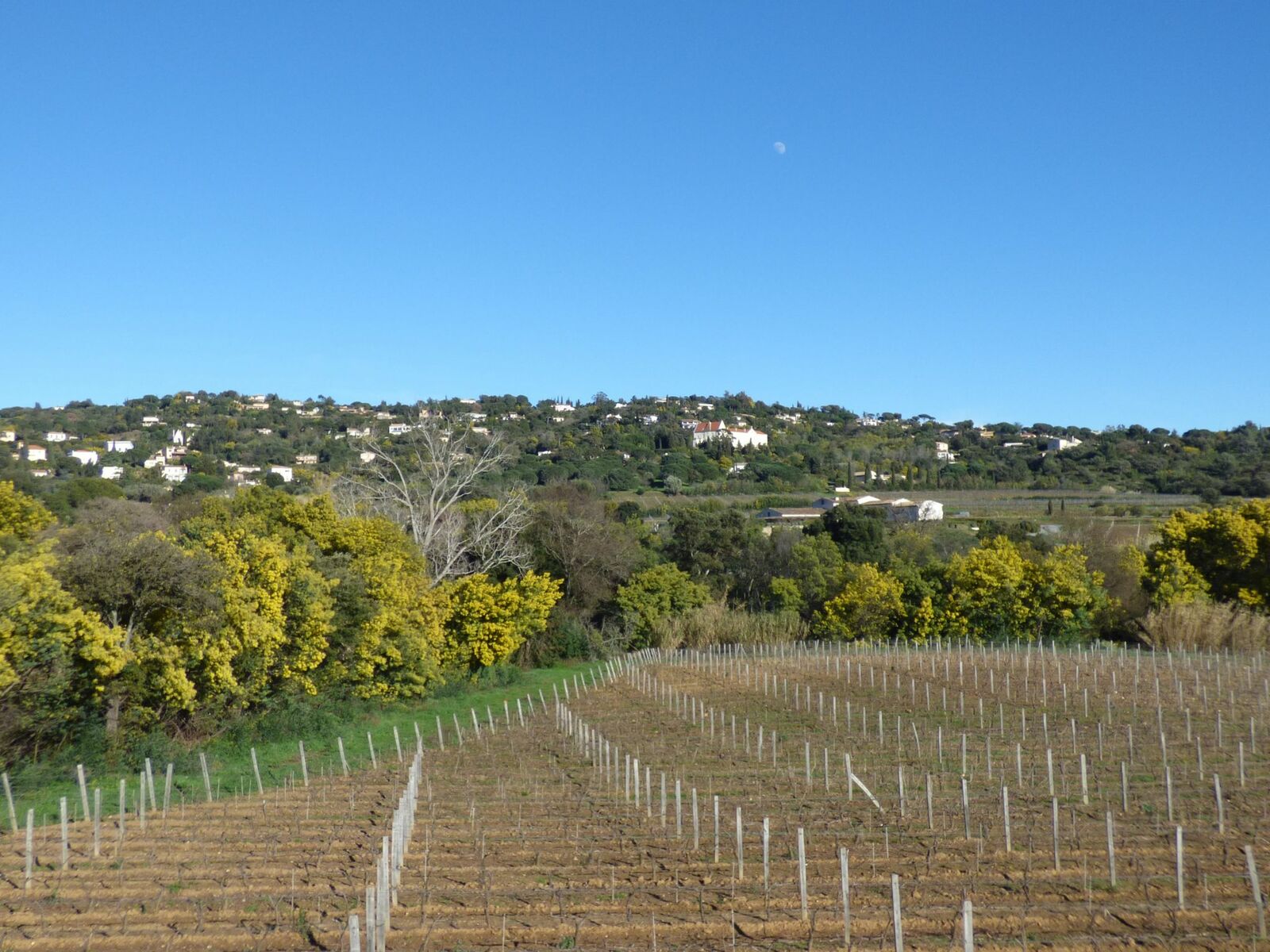 Chefs in the vineyards, 90 years La Croix Valmer