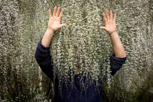 Exposition « Être(s) au jardin », Célia Pernot