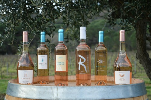 Vignobles de Ramatuelle