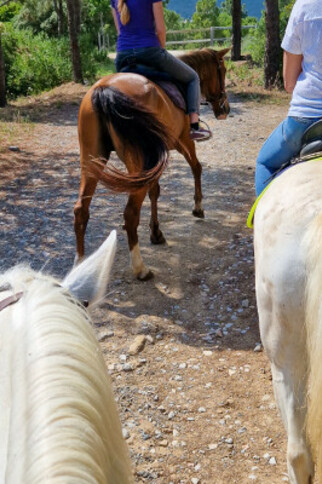 Ambiance Western : Un EVJF/EVG Hors des Sentiers Battus