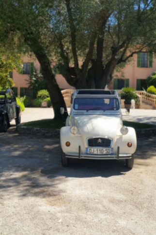 Vintage car ride and wine tasting