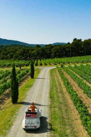 Vintage car ride and wine tasting