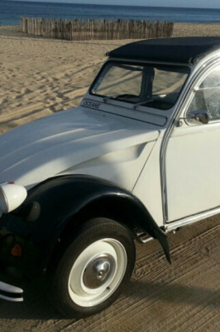 Balade et visite d'un domaine viticole en 2CV ou Méhari avec chauffeur