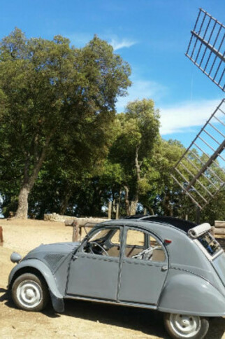 Balade et visite d'un domaine viticole en 2CV ou Méhari avec chauffeur