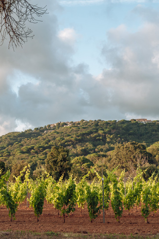 Vue de Gassin