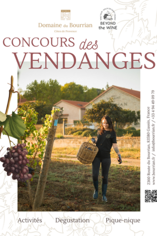 Concours de vendanges