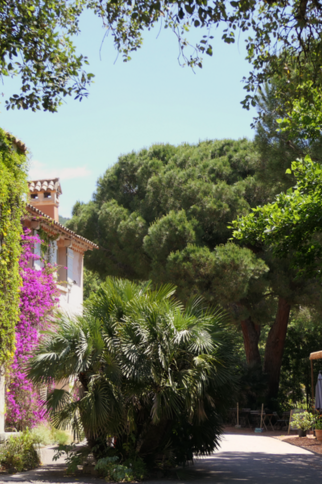 Domaine du Rayol, Le Café des Jardiniers