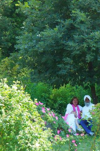 Ambiance romantique - Le Jardin de Gassin - gassin.eu