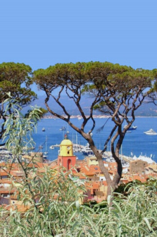 Saint-Tropez: Culture and wine tour Saint-Tropez