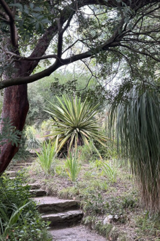 Visit the Mediterranean Garden