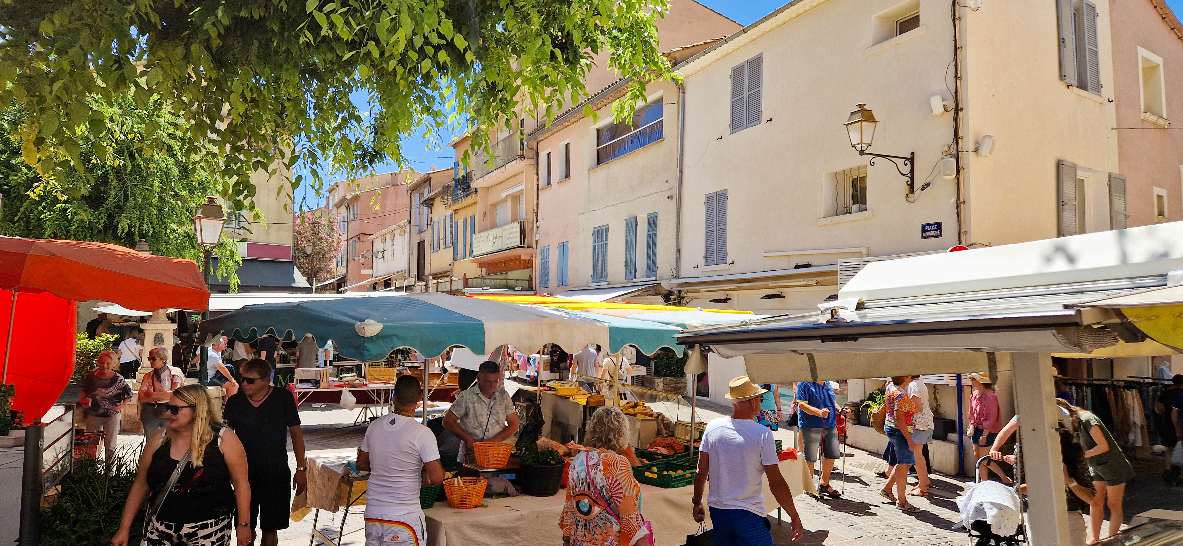 sainte maxime s.castor ©Golfe de Saint-Tropez- (55).jpg